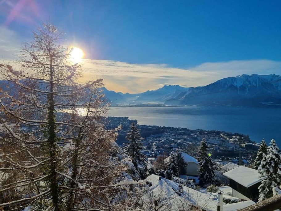 Le Toit De Chardonne - Entre Alpes Et Lac Leman 외부 사진