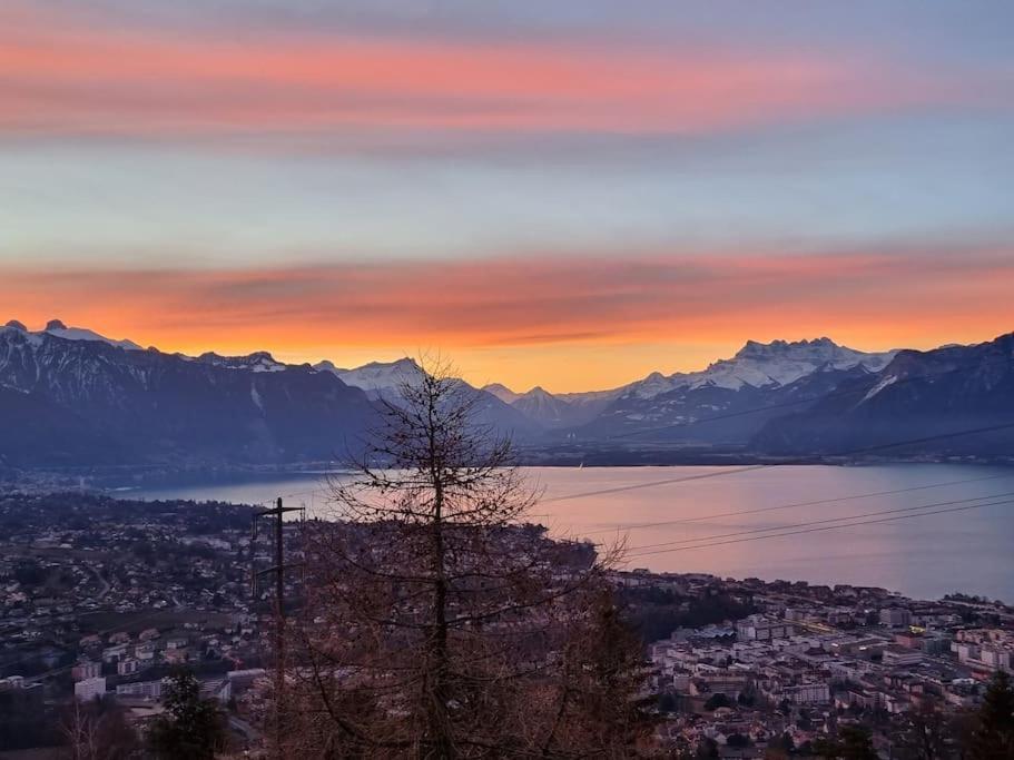 Le Toit De Chardonne - Entre Alpes Et Lac Leman 외부 사진