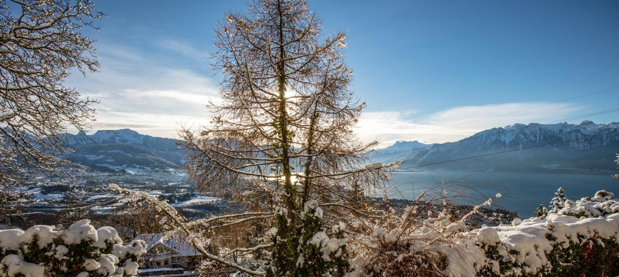 Le Toit De Chardonne - Entre Alpes Et Lac Leman 외부 사진